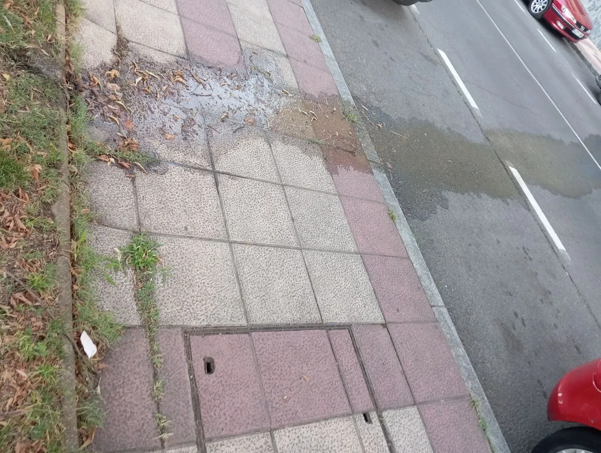 Fuga de Agua en la calle Poeta Jesús Rasueros