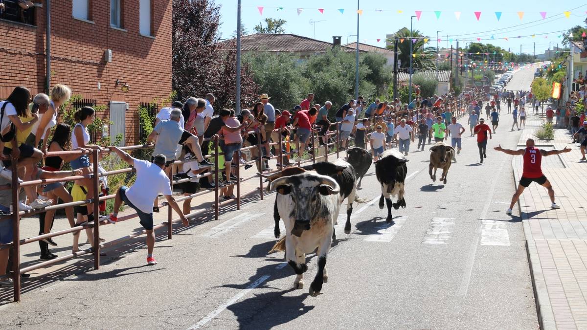 Programa Fiestas San Roque 2025 Villarino de los Aires