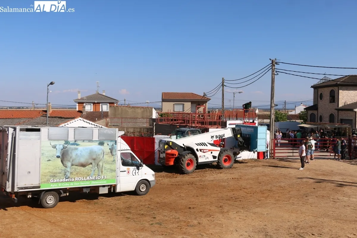 Emocionante IV Toro de Cajón de Boada con un excelente novillo de Rollanejo y dos sustos sin consecuencias importantes / CORRAL 