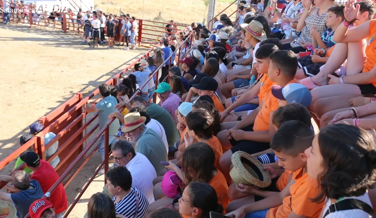 Emocionante IV Toro de Cajón de Boada con un excelente novillo de Rollanejo y dos sustos sin consecuencias importantes / CORRAL 