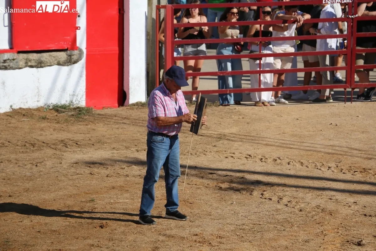 Emocionante IV Toro de Cajón de Boada con un excelente novillo de Rollanejo y dos sustos sin consecuencias importantes / CORRAL 