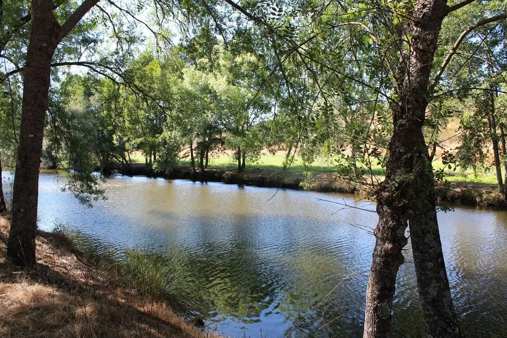 Camping de Freixial (Penamacor, Portugal) | Fotos: MARTÍN-GARAY