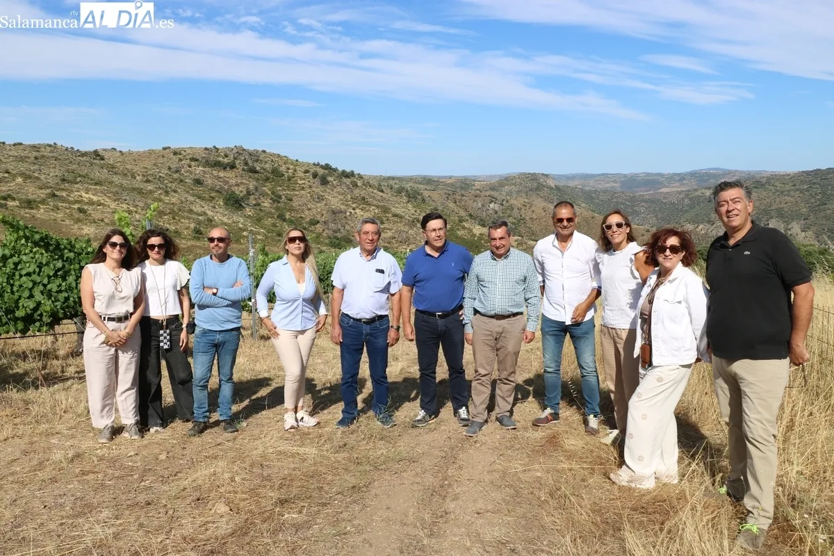 El director técnico del ITACyL, Rafael Sáez, visitaba este jueves la viña experimental de Las Bozas en Villarino de los Aires / CORRAL