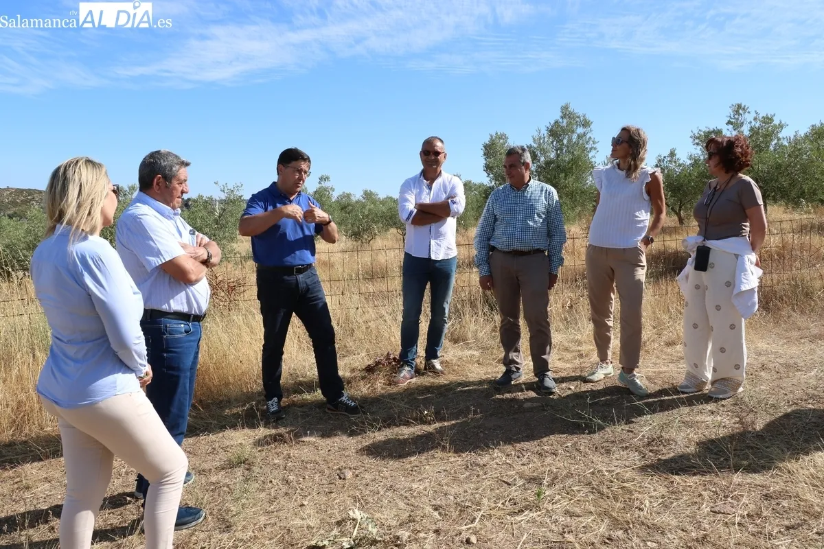 El director técnico del ITACyL, Rafael Sáez, visitaba este jueves la viña experimental de Las Bozas en Villarino de los Aires / CORRAL