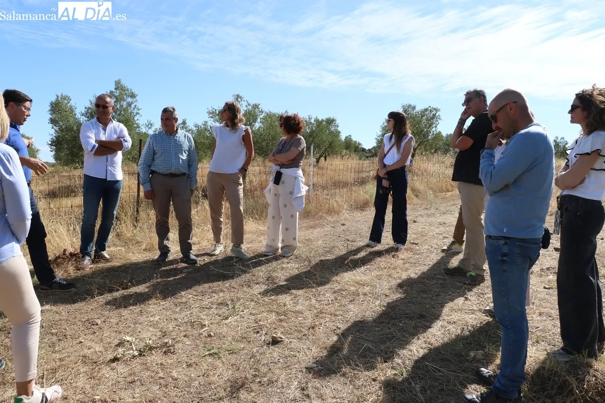 El director técnico del ITACyL, Rafael Sáez, visitaba este jueves la viña experimental de Las Bozas en Villarino de los Aires / CORRAL