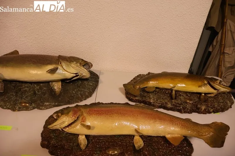 Foto 11 - El Club de Pesca Santa Teresa inaugura una exposici&oacute;n con m&aacute;s de 250 piezas sobre las antiguas artes de pesca