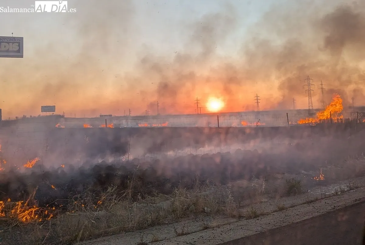 Incendio en Villares de la Reina. Foto  S. M. P.