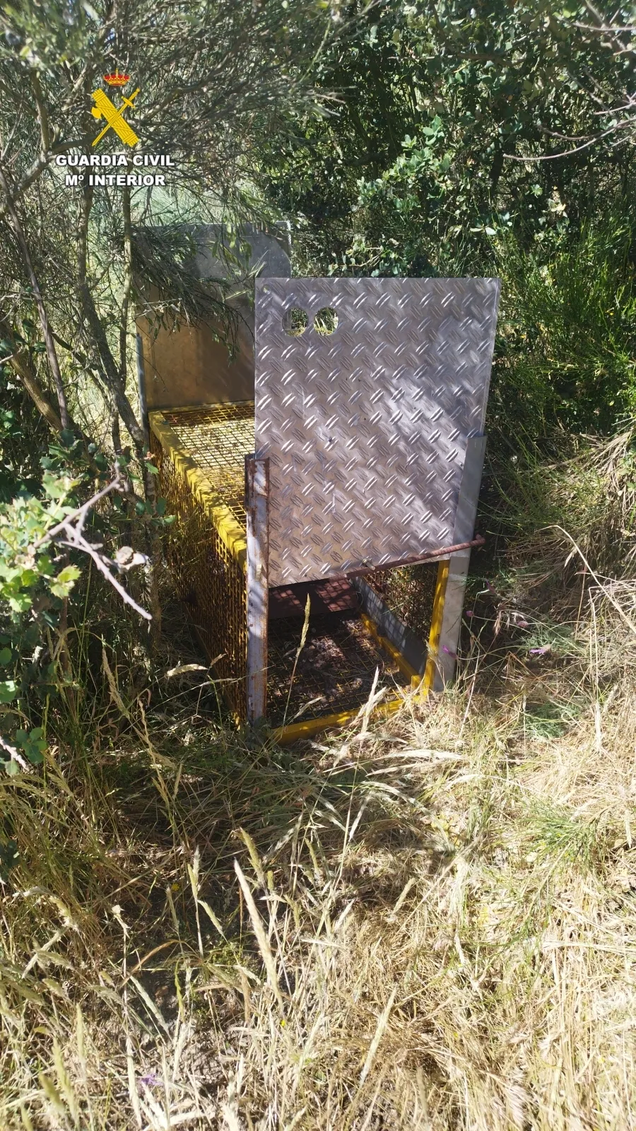 Jaula trampa hallada en Villaseco de los Reyes