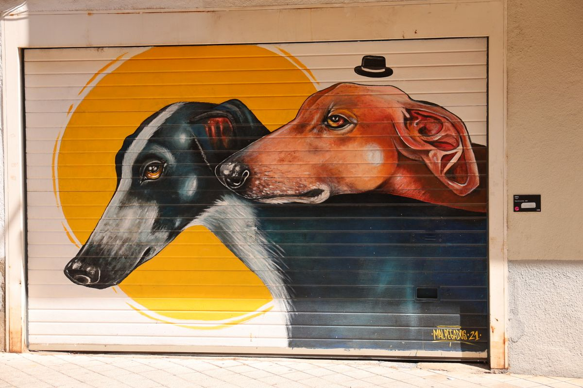 Mural de galgos en el barrio del Oeste, en Salamanca