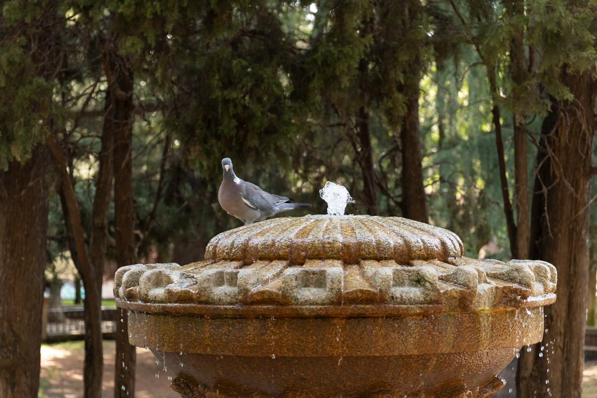 Campo de San Francisco, Salamanca