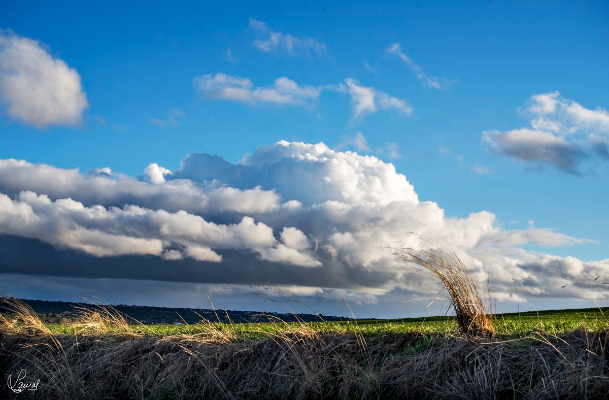 Vídeo poema de Manuel Lamas Sánchez: Mis poemas