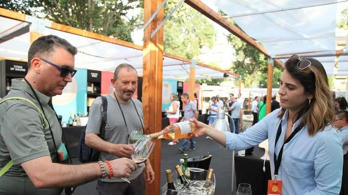 Guarda Wine Fest (Guarda, Portugal) 
