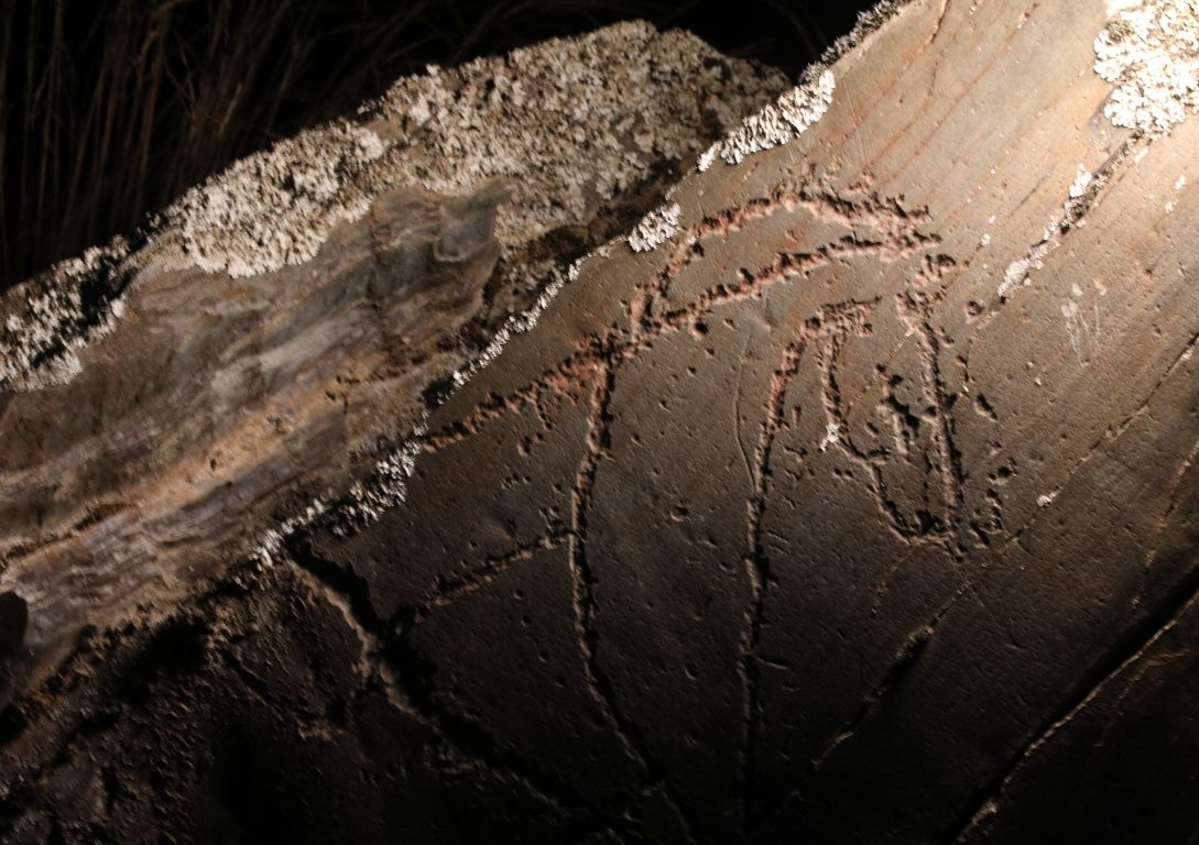 Siega Verde retoma desde este viernes las visitas nocturnas guiadas