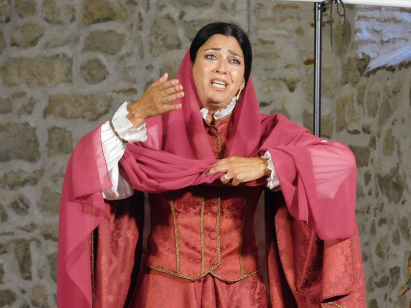 Arcos y Ecos: últimas funciones en iglesias de Salamanca