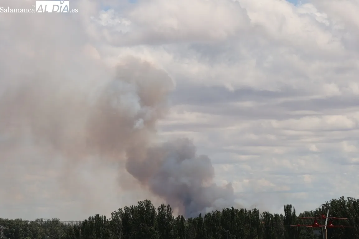 Vistas desde Salamanca del incendio en Pelabravo y Calvarrasa de Abajo