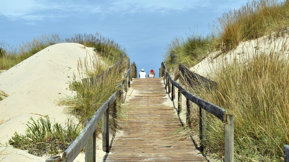 La escapada perfecta desde Salamanca: un festival ecológico en la auténtica Praia da Tocha