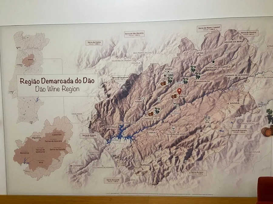 Foto 2 - El enoturismo se sofistica en el D&atilde;o: un viaje al coraz&oacute;n del vino portugu&eacute;s