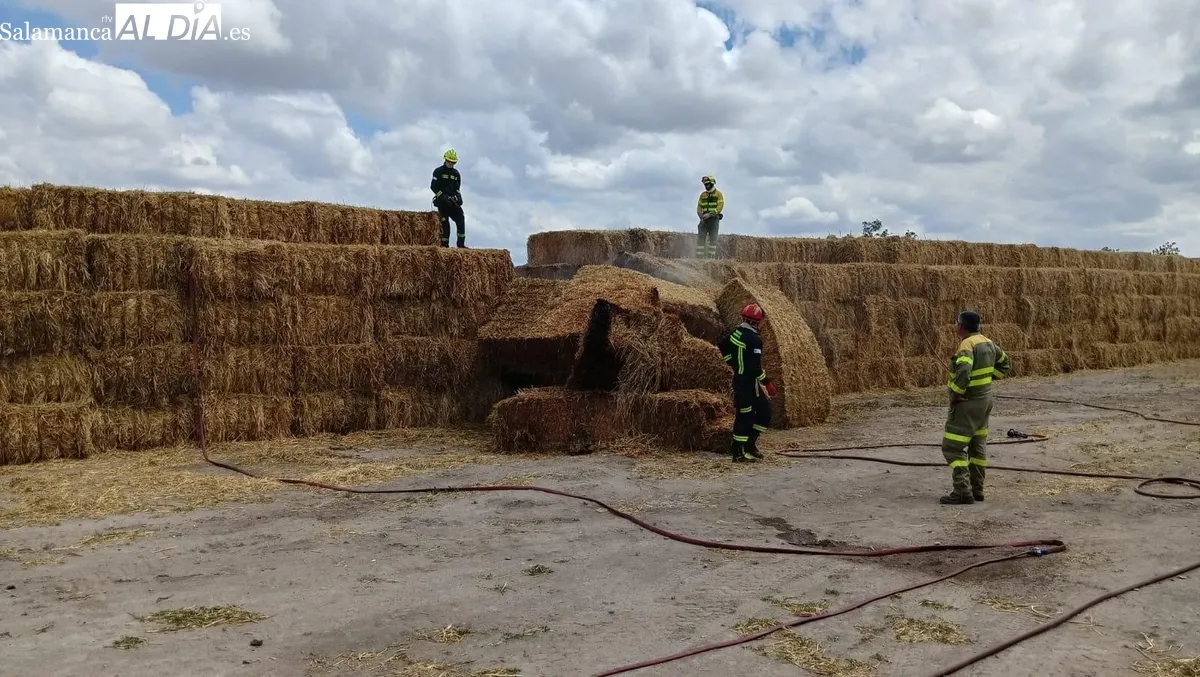 Amplio despliegue de medios con bomberos de Diputación y medios aéreos y terrestres de la JCyL 