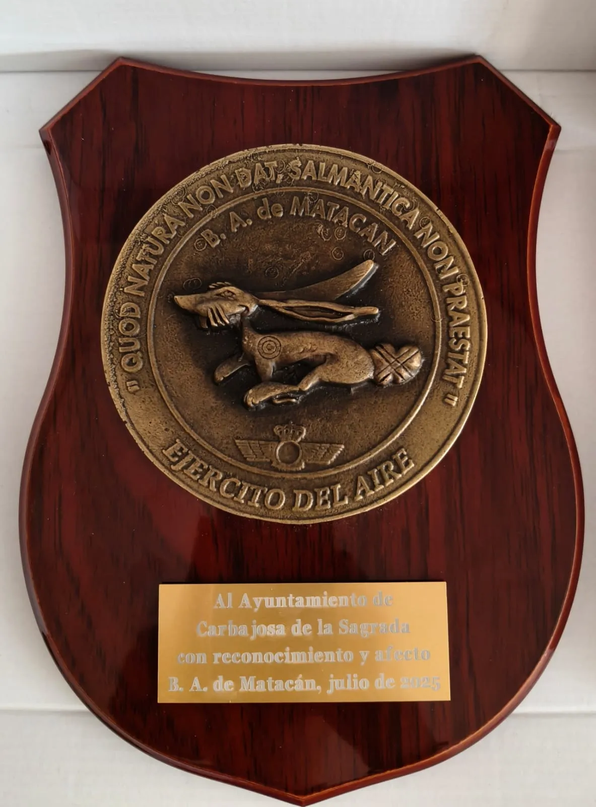 Carbajosa de la Sagrada reconoce la labor del coronel jefe de Matacán en su despedida