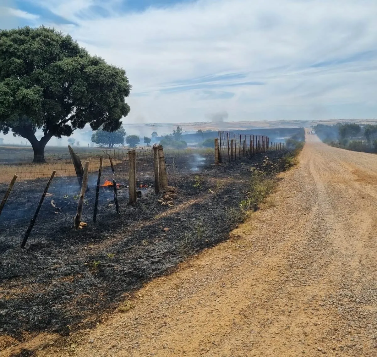 Foto 3 - Ampl&iacute;sima movilizaci&oacute;n de medios para acabar con un fuego en Castillejo de Mart&iacute;n Viejo