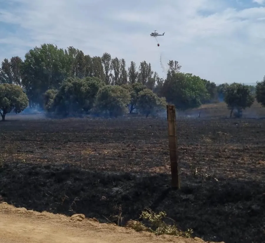 Foto 2 - Ampl&iacute;sima movilizaci&oacute;n de medios para acabar con un fuego en Castillejo de Mart&iacute;n Viejo