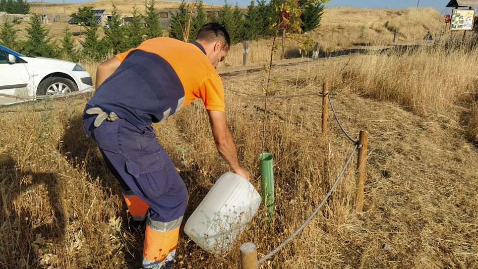 Camino de las Mariposas: así lo protege Alba de Tormes