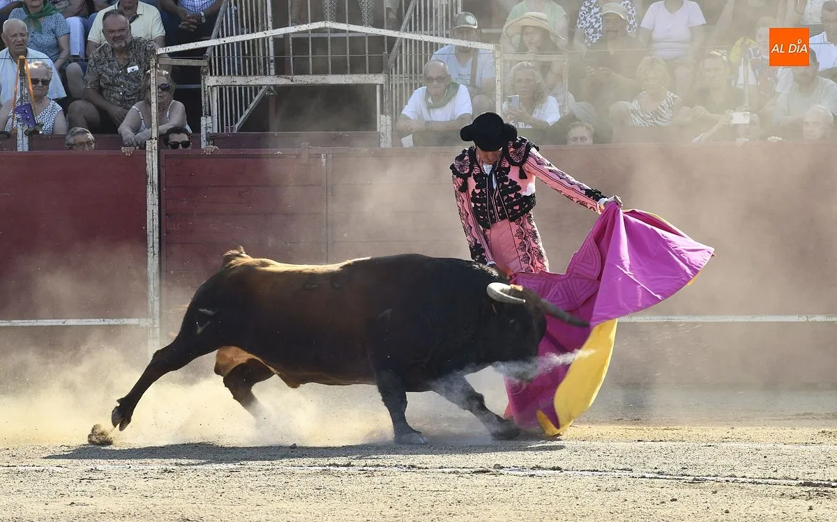 Tarde de toros en Moraleja por San Buenaventura/ Fotos: Adrián M.Pastor