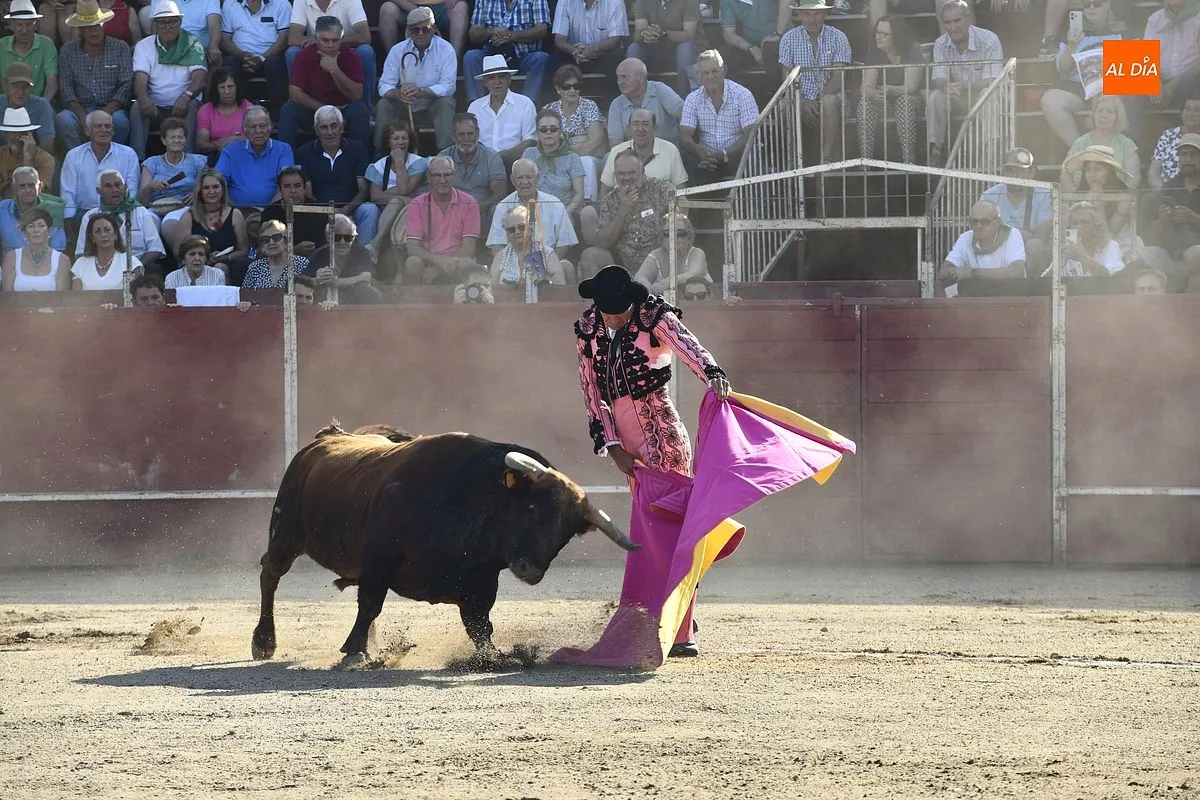 Tarde de toros en Moraleja por San Buenaventura/ Fotos: Adrián M.Pastor
