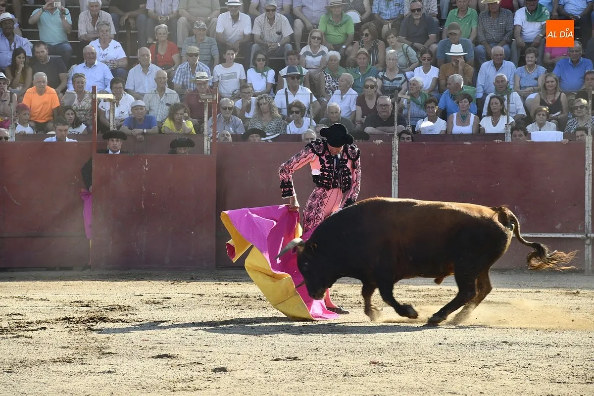 Tarde de toros en Moraleja por San Buenaventura/ Fotos: Adrián M.Pastor