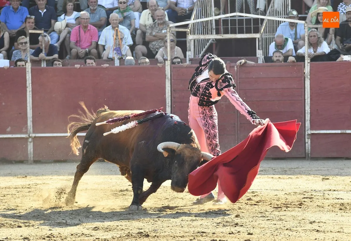 Tarde de toros en Moraleja por San Buenaventura/ Fotos: Adrián M.Pastor