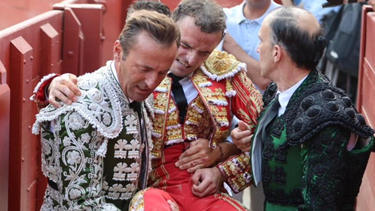 Damián Castaño cogido Mont de Marsan