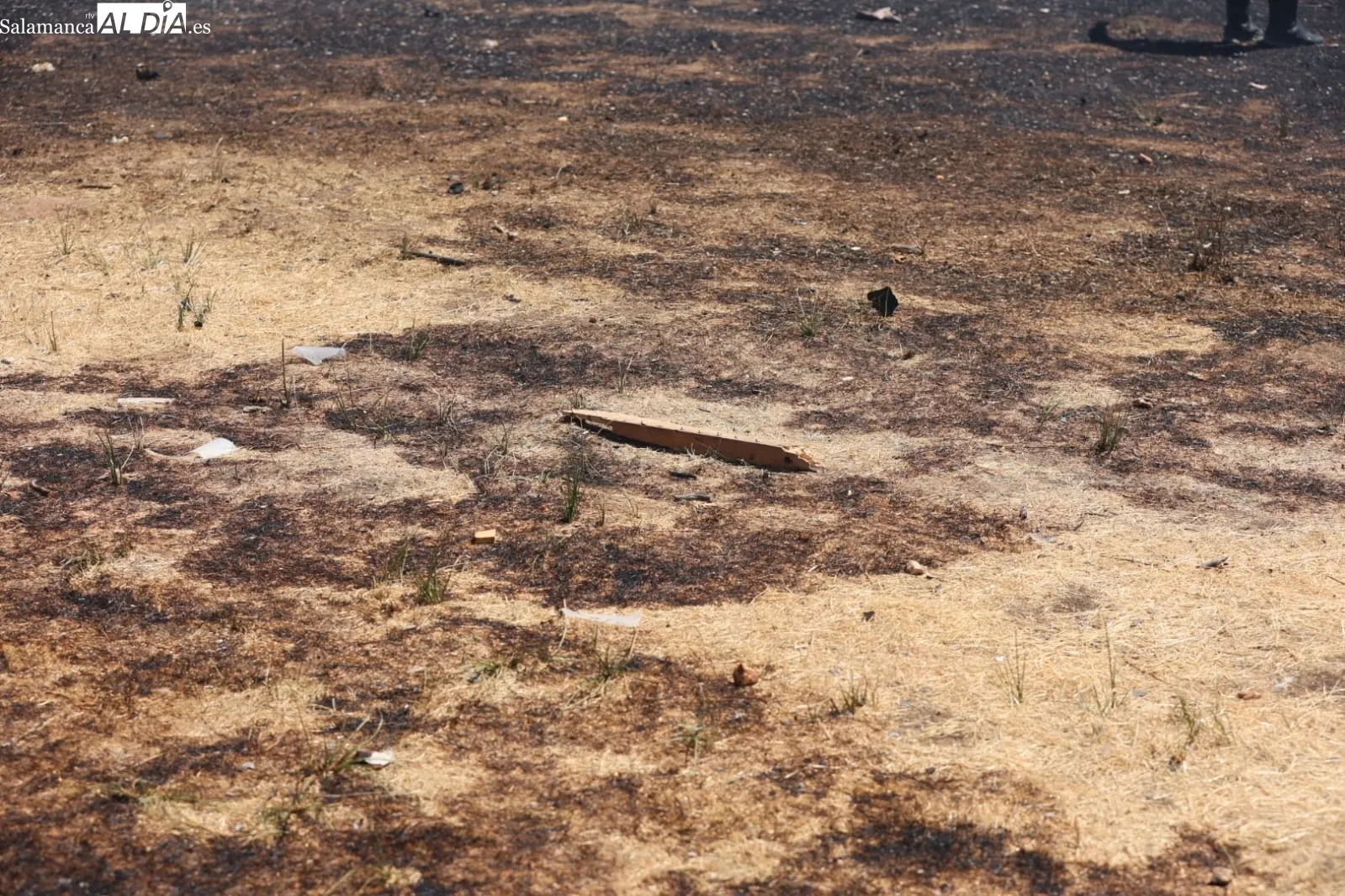 Foto 4 - V&Iacute;DEO Y FOTOS | Susto en Santa Marta por un incendio en el Paseo de Valdelagua que afect&oacute; a las casetas de fiestas y casas cercanas