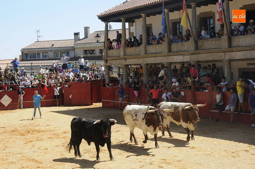 Fuenteguinaldo licita por 17.000€ el montaje de la plaza de toros y el cerramiento de los encierros