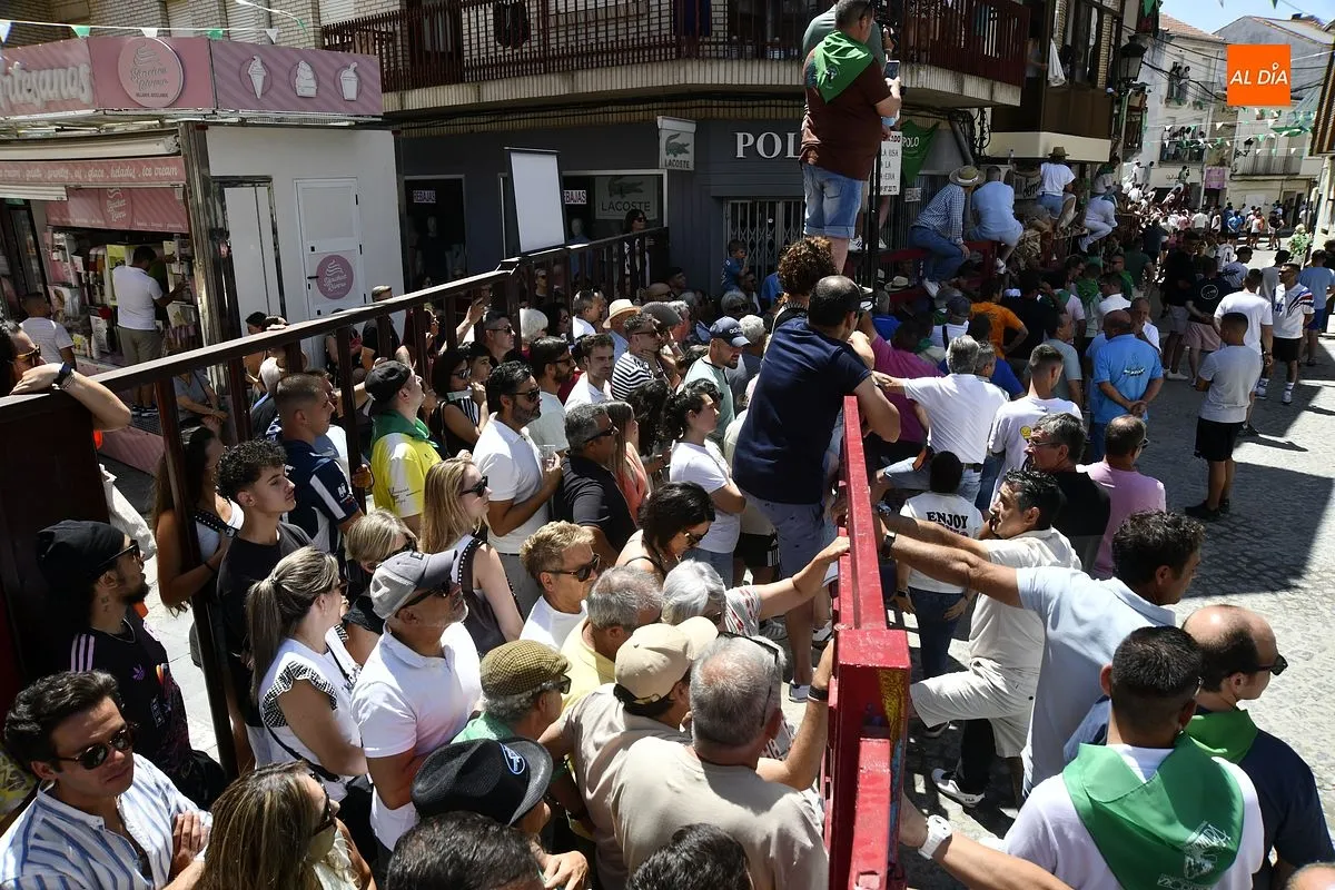 Encierro con toros de Villamarta en Moraleja/ Fotos: Adrián M.Pastor