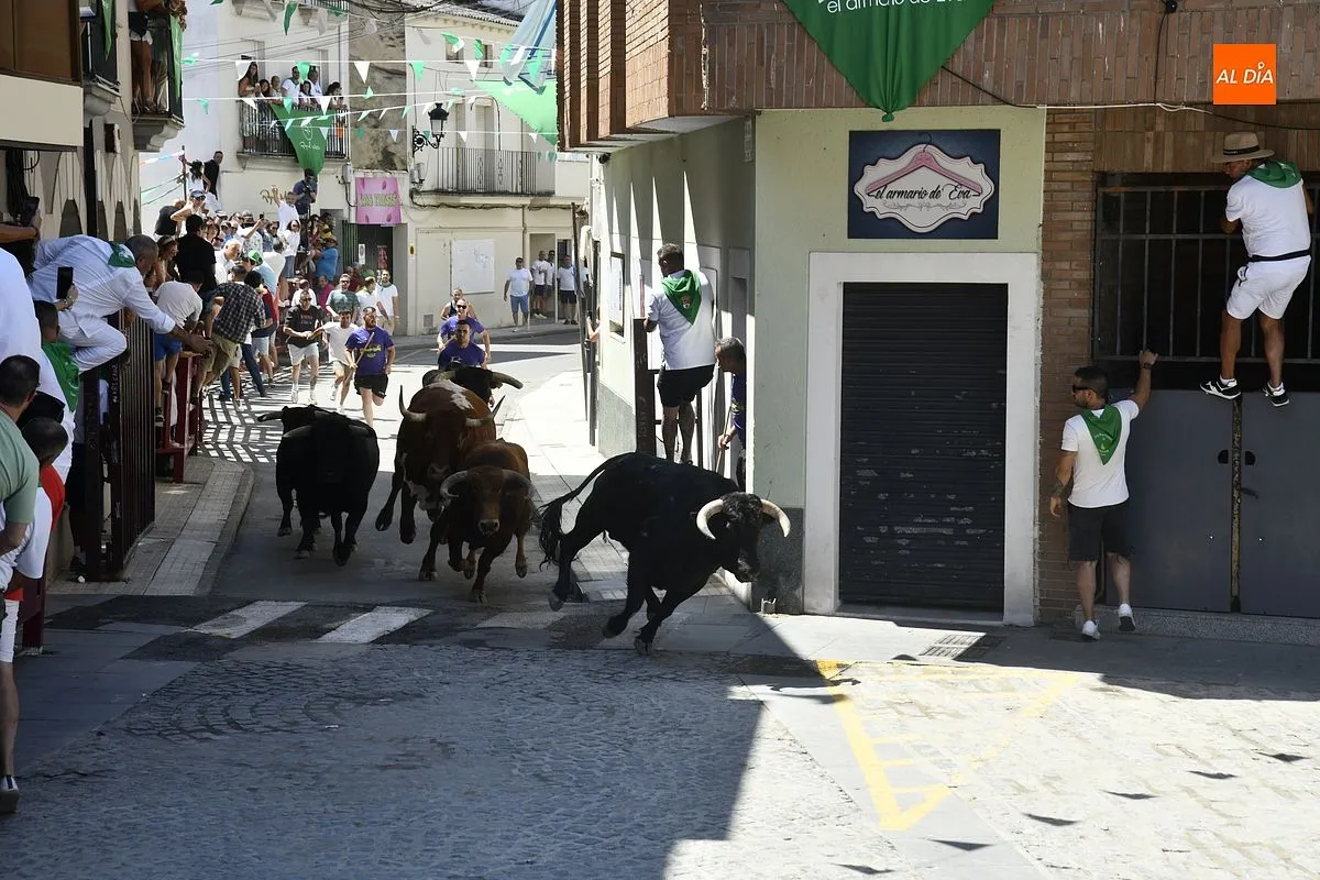 Tercer encierro San Buenaventura en Moraleja/ Fotos: Adrián M.Pastor