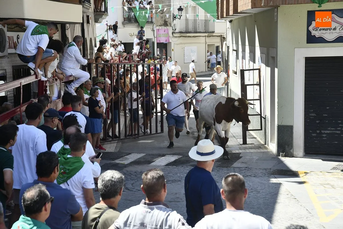 Tercer encierro San Buenaventura en Moraleja/ Fotos: Adrián M.Pastor