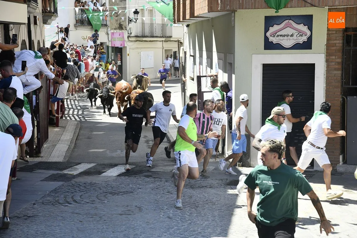 Tercer encierro San Buenaventura en Moraleja/ Fotos: Adrián M.Pastor