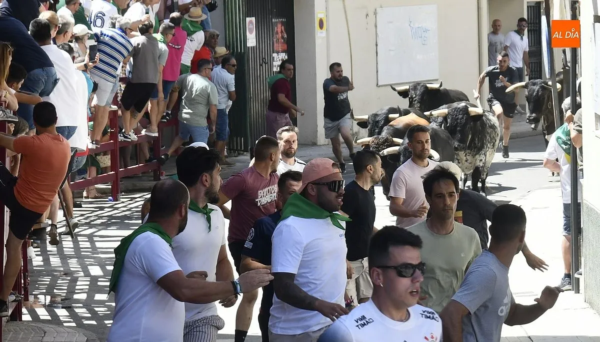 Cuarto y último encierro de San Buenaventura en Moraleja/ Fotos: Adrián M.Pastor