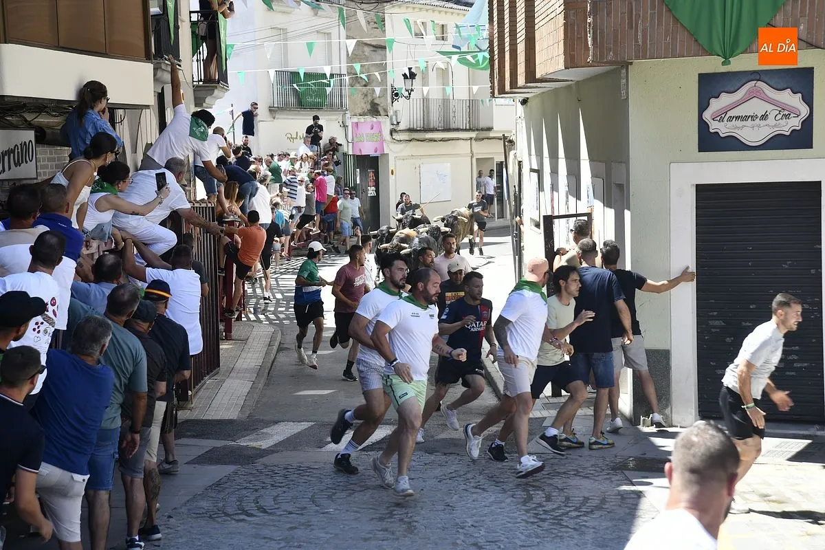 Cuarto y último encierro de San Buenaventura en Moraleja/ Fotos: Adrián M.Pastor