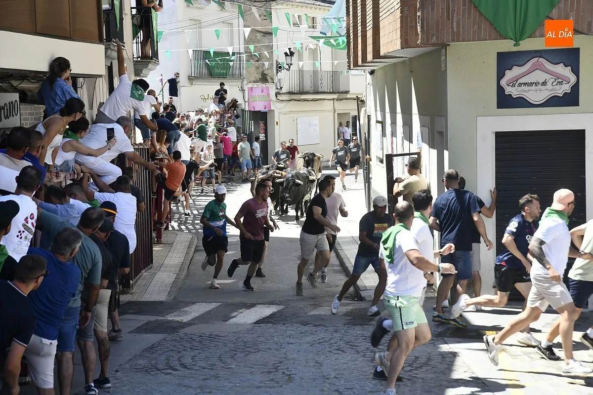 Cuarto y último encierro de San Buenaventura en Moraleja/ Fotos: Adrián M.Pastor