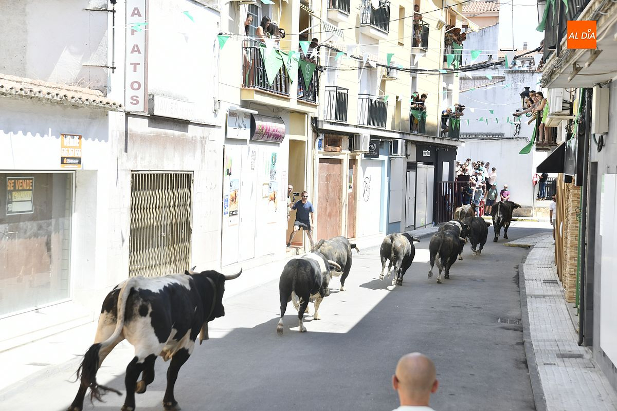 Los temidos ‘ Patas Blancas de Victorino Martín protagonizan encierro casi en solitario Moraleja San Buenaventura