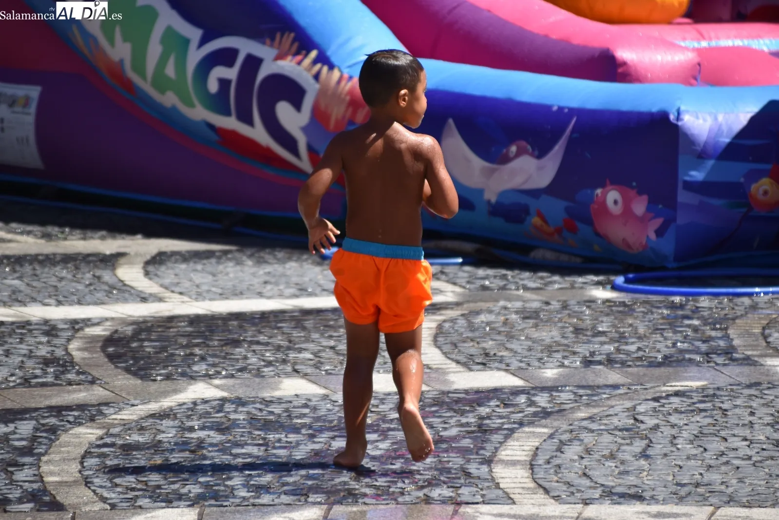 Foto 4 - Gran fiesta del ni&ntilde;o con hinchables en la Plaza Espa&ntilde;a de Santa Marta (FOTOS)