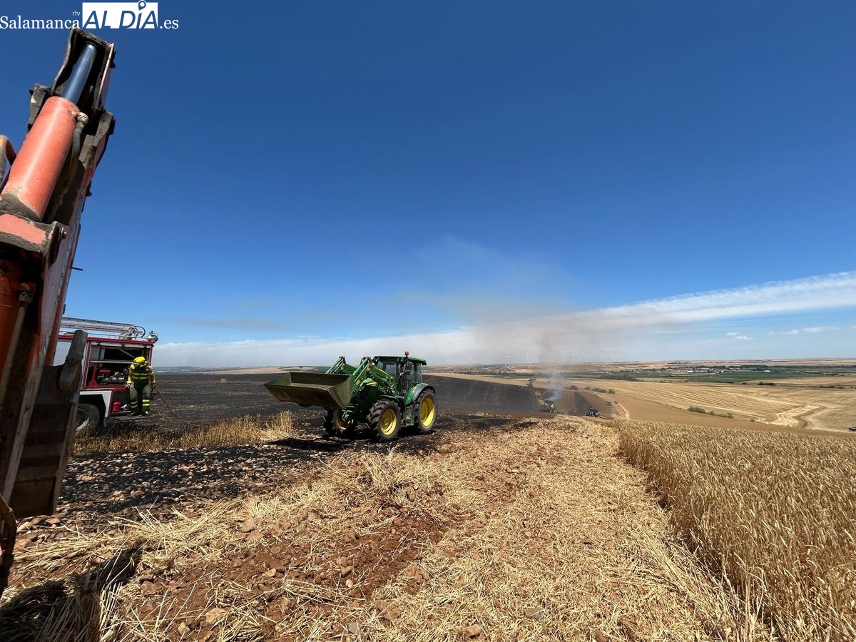 VÍDEO | Incendio en Amatos de Alba sofocado por agricultores y bomberos