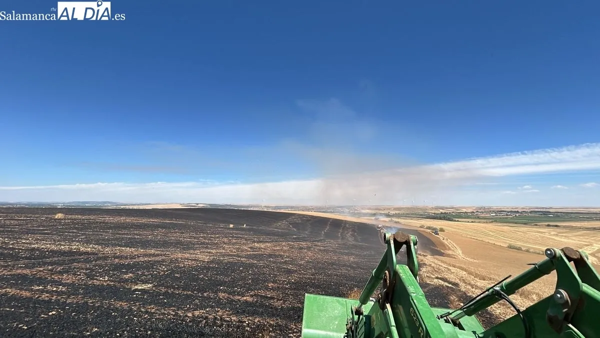 Incendio de Nuevo Amatos. Foto de Roberto Jiménez