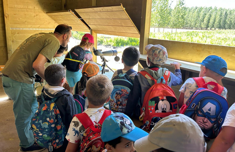 Laguna de la Dehesa: niños estrenan el nuevo humedal