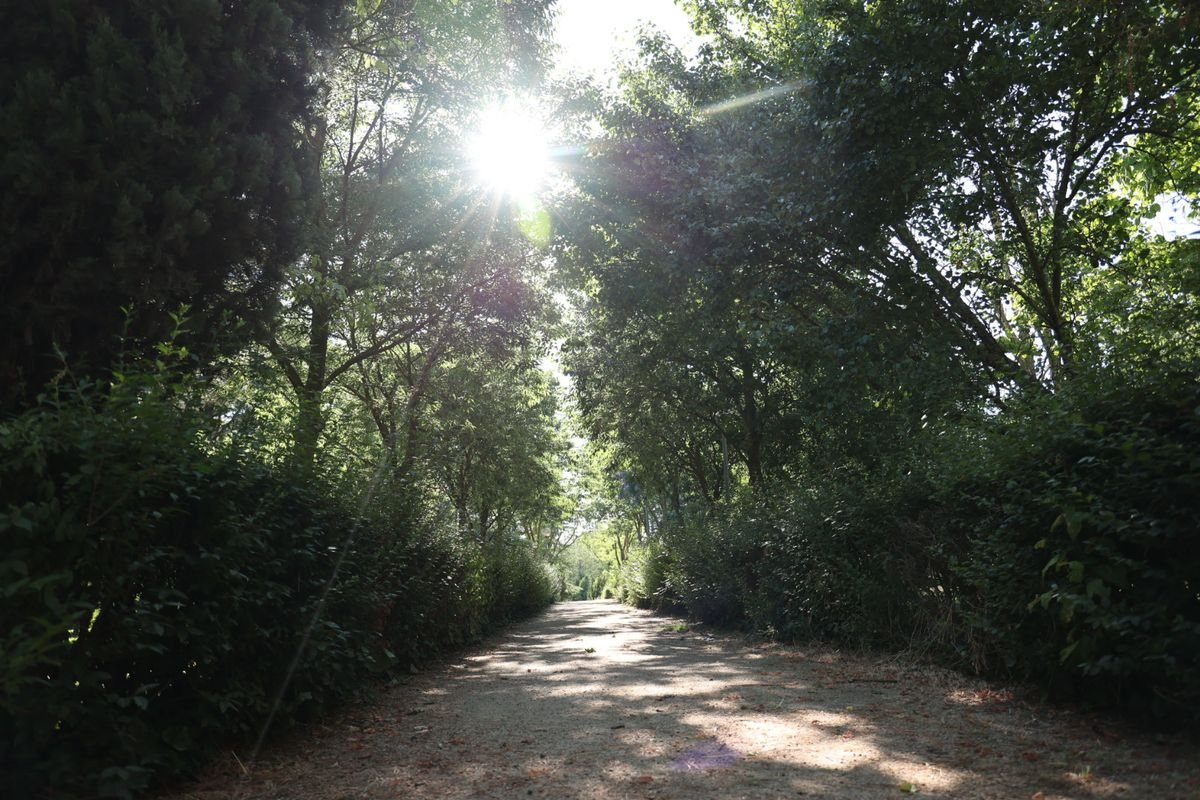 El camino, parque Jesuitas