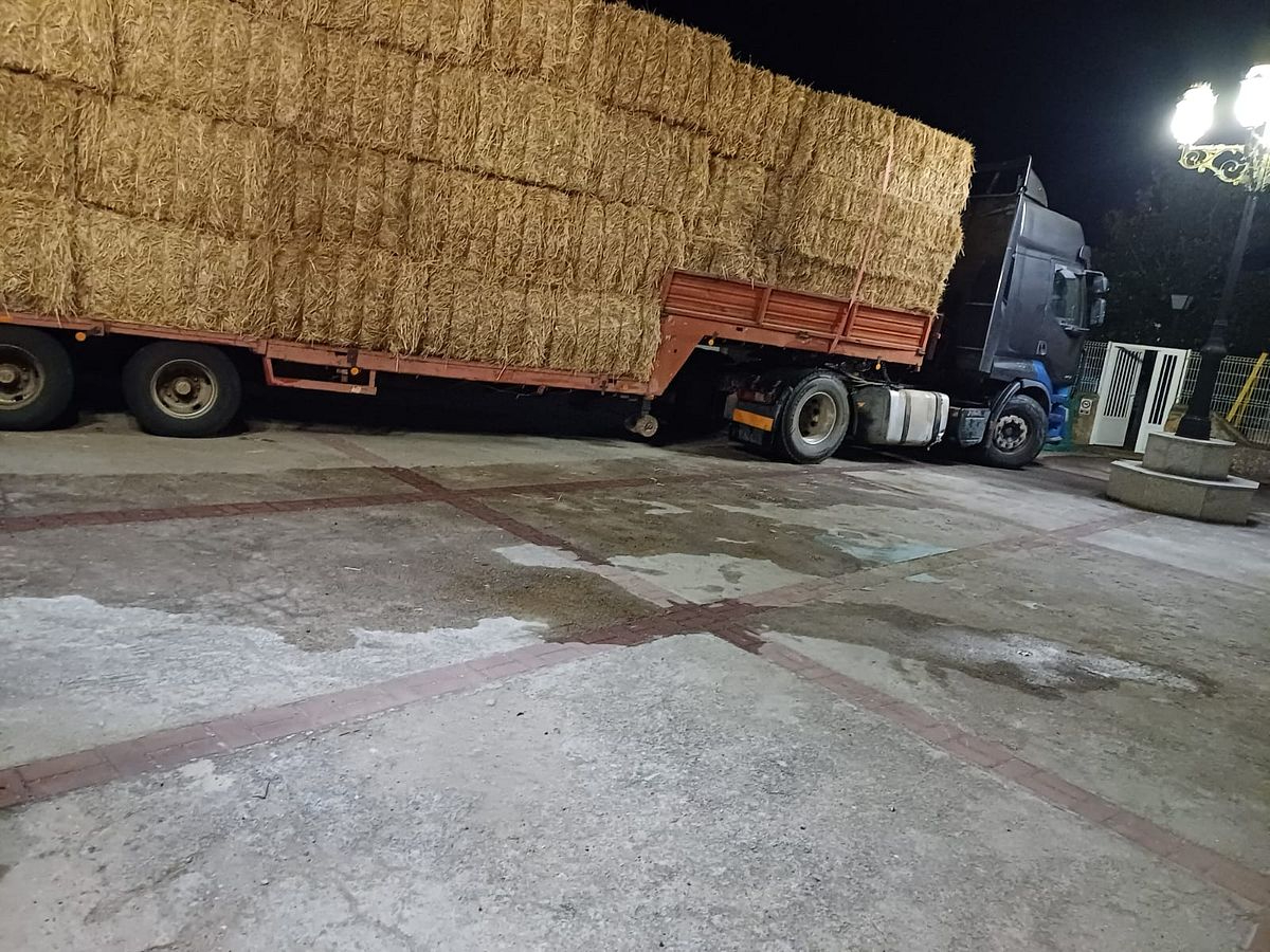 Accidente en Alameda de Gardón por una rejilla trampa