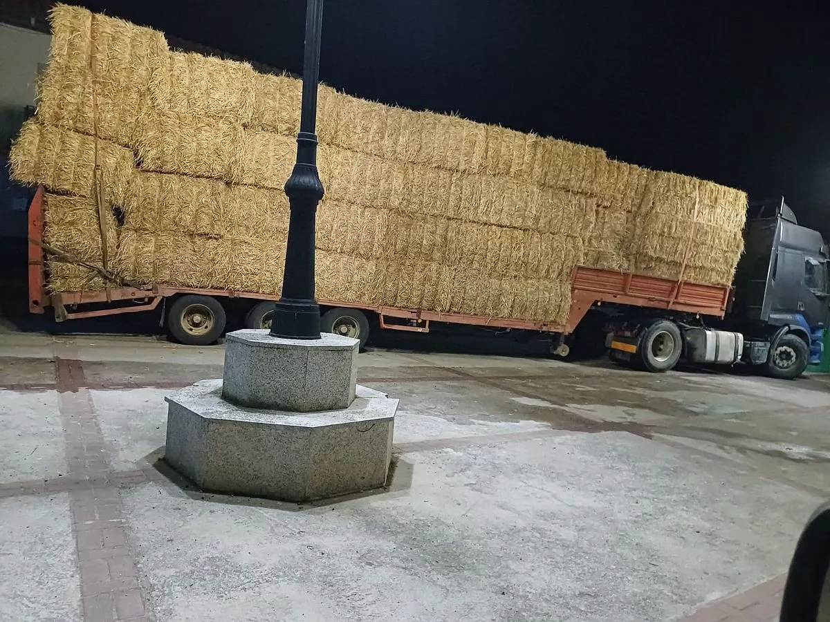 Foto 6 - Un cami&oacute;n sufre un accidente por las &ldquo;rejillas trampa&rdquo; de la traves&iacute;a de Alameda de Gard&oacute;n