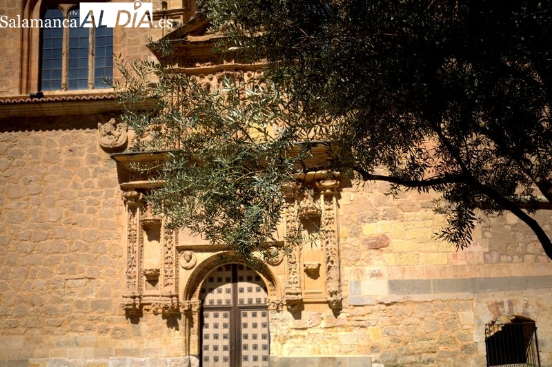 Qué hacer en Salamanca: guía cultural para el fin de semana