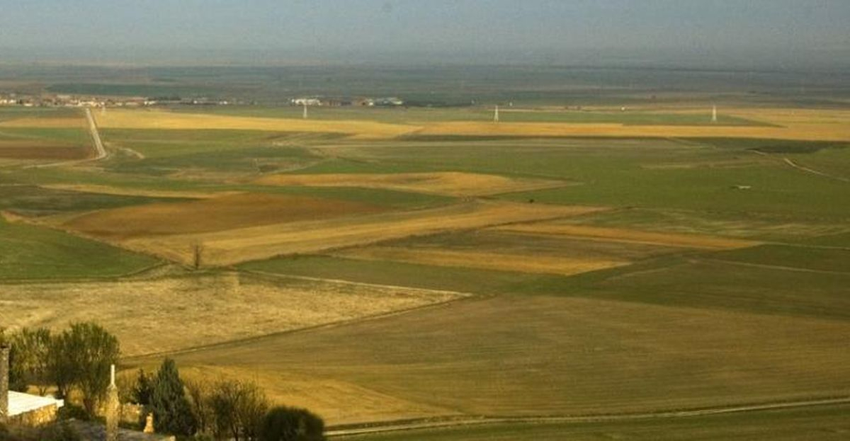 Tierra de Campos: 63M€ para impulsar empresas y empleo